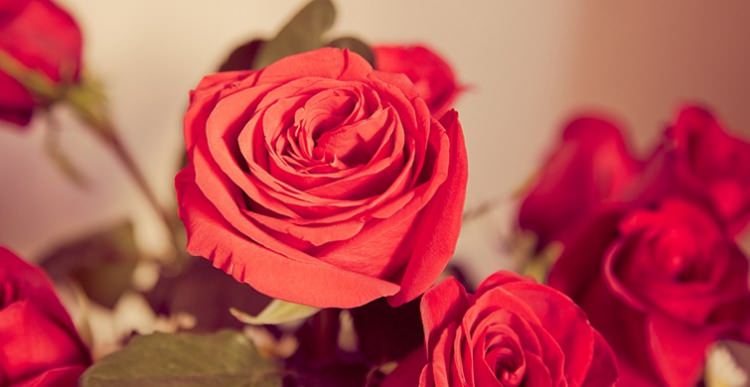 Peygamber efendimizin (SAV)  yön verici 40 hadis-i şerifi - 36