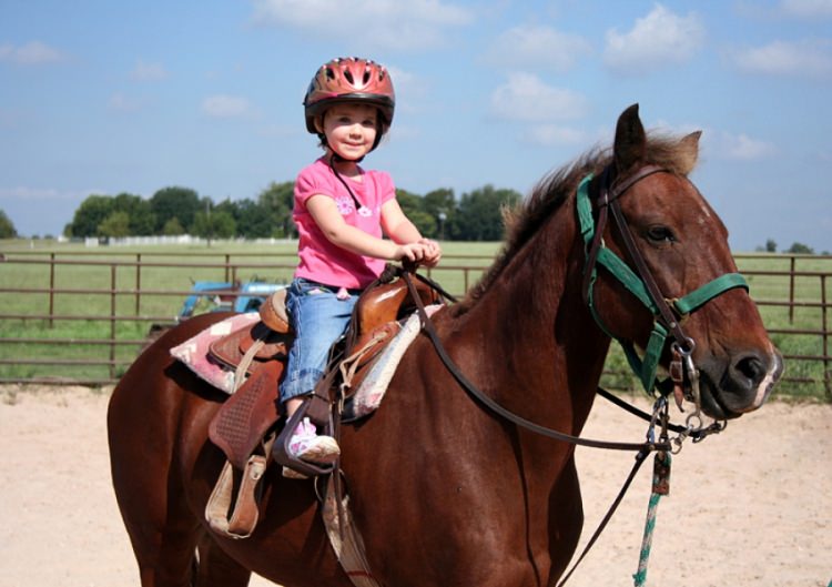 Peygamber efendimizin (SAV)  yön verici 40 hadis-i şerifi - 52