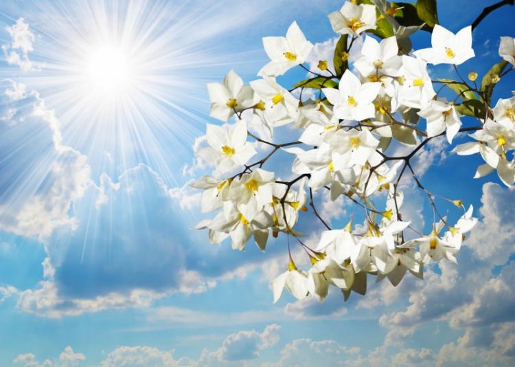 Peygamber efendimizin (SAV)  yön verici 40 hadis-i şerifi - 67