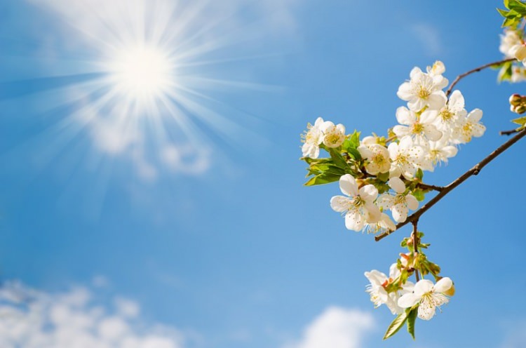 Peygamber efendimizin (SAV)  yön verici 40 hadis-i şerifi - 68