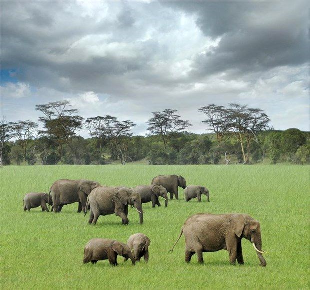 Türk vatandaşlarının vizesiz gidebileceği ülkeler - 50