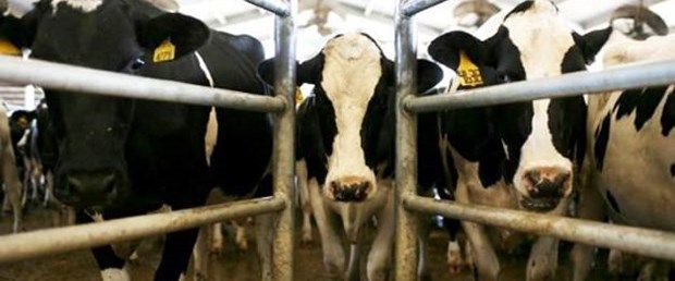 Tarih'te bugün:20 Mart'ta olan önemli olaylar - 13