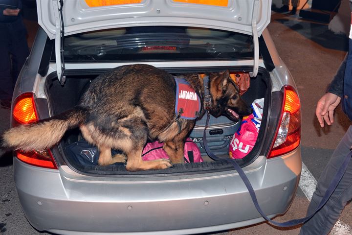 Tarihi eser kaçakçıları Aşil ve Atos'tan kaçamadılar - 12