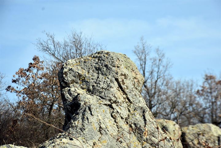 Sıradan kaya parçası sanılıyordu 4 bin yıllık gözlem evi olduğu ortaya çıktı - 17