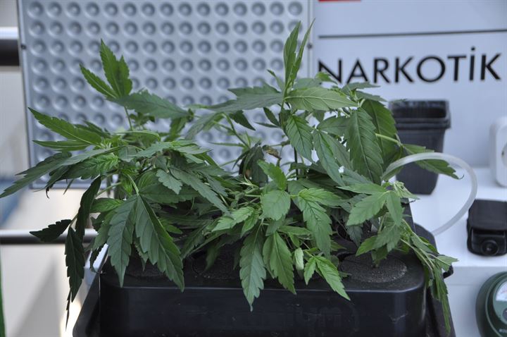 Adana'da 5 dil bilen yazılımcının eve kurduğu sistem polisi şaşırttı - 22