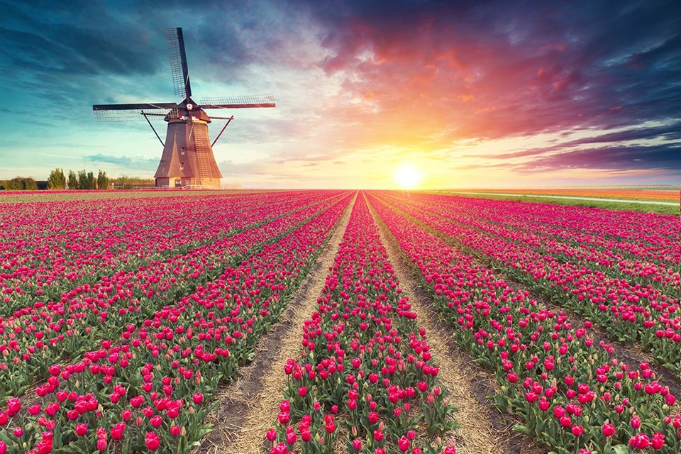 Rengarenk ilkbahar gezi rotaları - 3