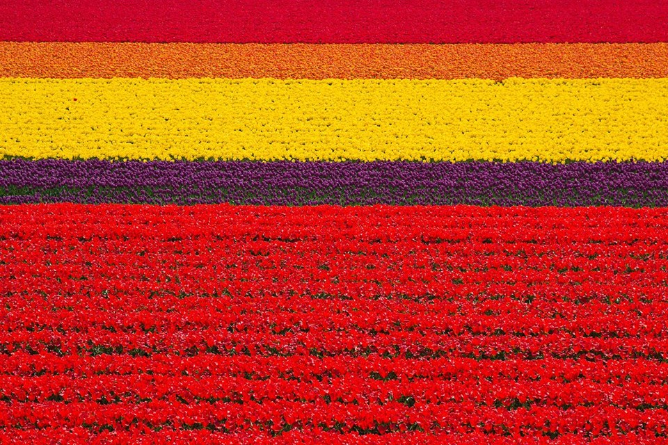 Rengarenk ilkbahar gezi rotaları - 4