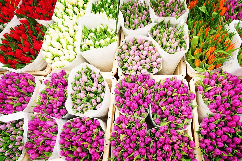 Rengarenk ilkbahar gezi rotaları - 6