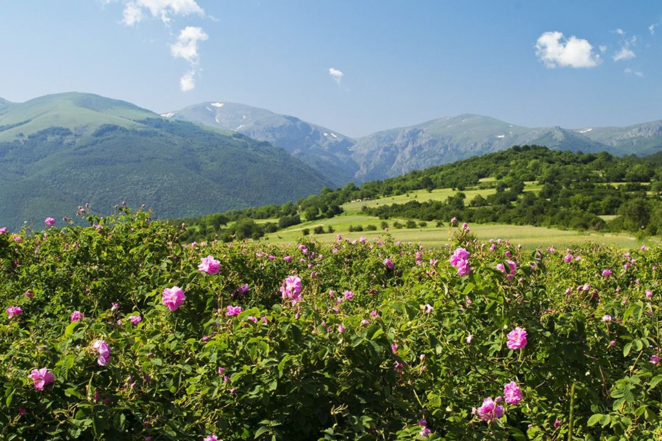 Rengarenk ilkbahar gezi rotaları - 16