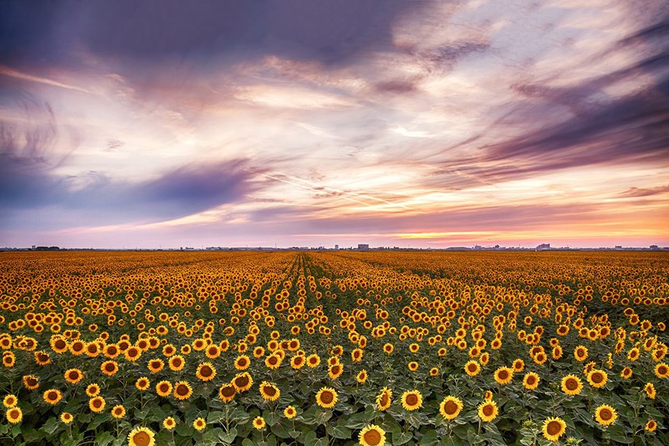 Rengarenk ilkbahar gezi rotaları - 17