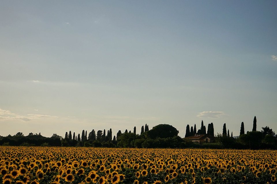 Rengarenk ilkbahar gezi rotaları - 19