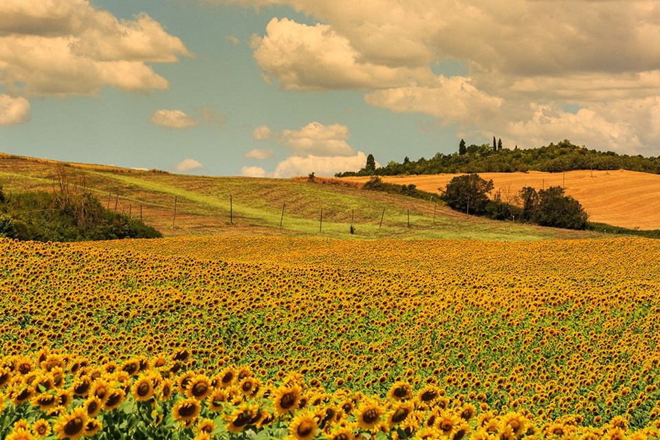 Rengarenk ilkbahar gezi rotaları - 20