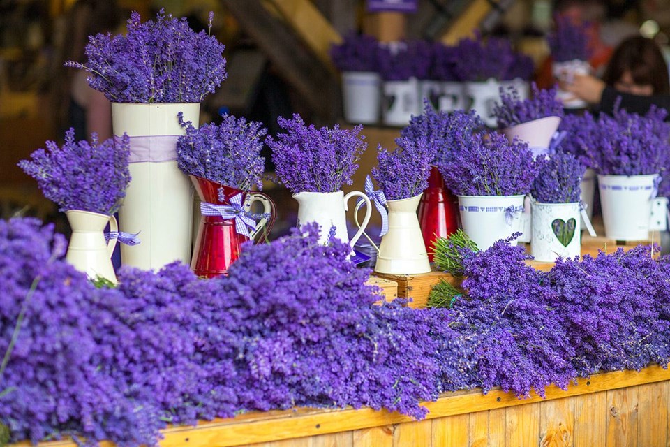 Rengarenk ilkbahar gezi rotaları - 24