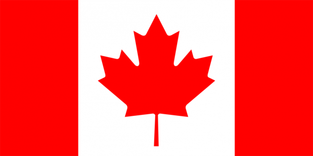 Ülkeler en çok hangi siteyi aradı? - 29