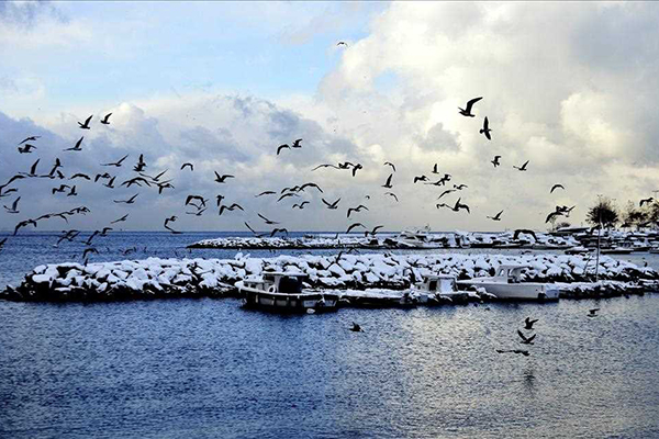 İstanbul'dan kar manzaraları - 6