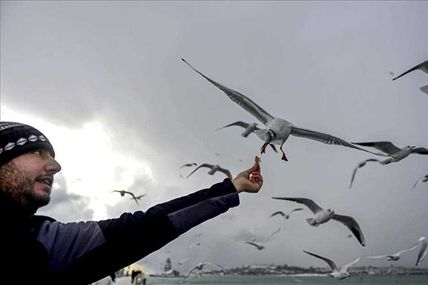 İstanbul'dan kar manzaraları - 13