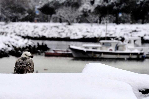 İstanbul'dan kar manzaraları - 16