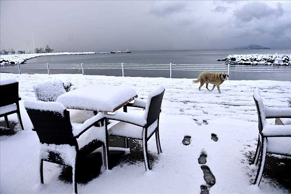 İstanbul'dan kar manzaraları - 5