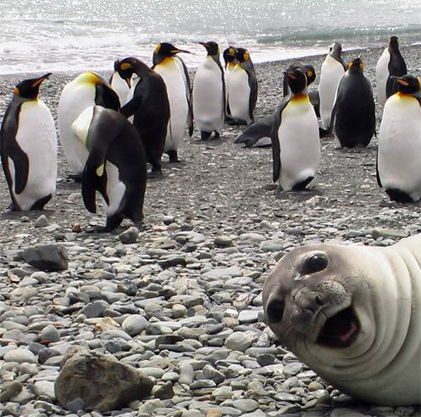 Muhteşem 'o an'lar - 5