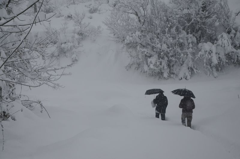 Bartın'da kar insan boyunu geçti - 778
