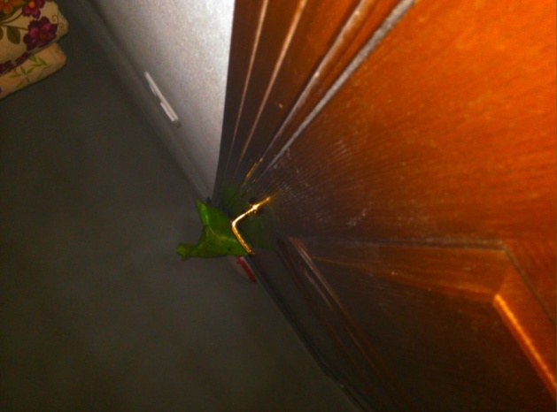 Cizre böyle görüntülendi - 4