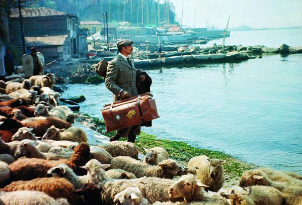 Bir zamanlar İstanbul - 7