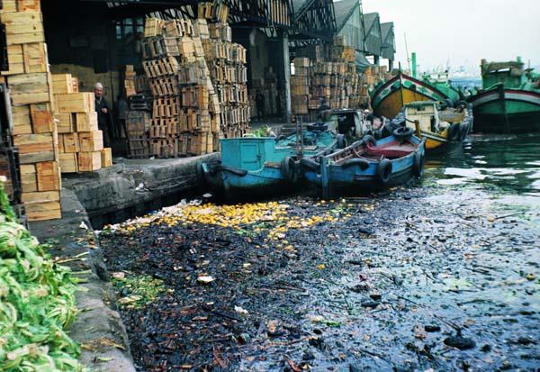 Bir zamanlar İstanbul - 8