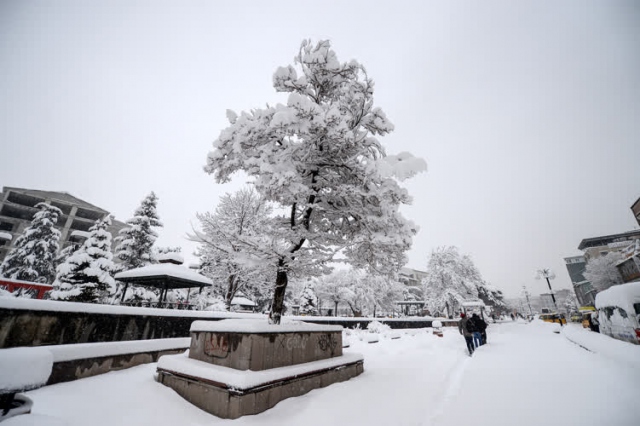 Doğu kara teslim oldu - 10