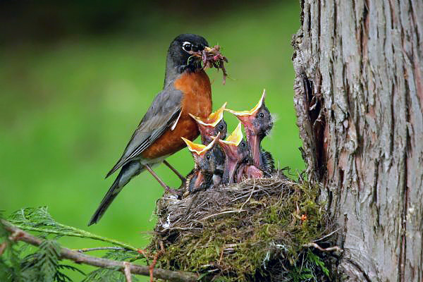 Doğru bildiğimiz yanlışlar - 5