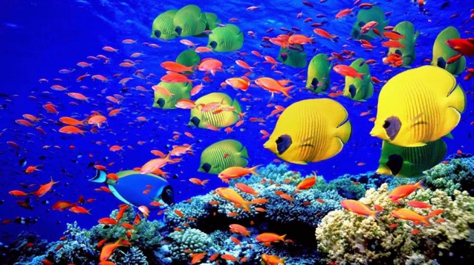 Doğru bildiğimiz yanlışlar - 8