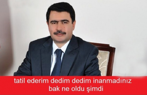 Kar tatiline damga vuran Capsler - 8