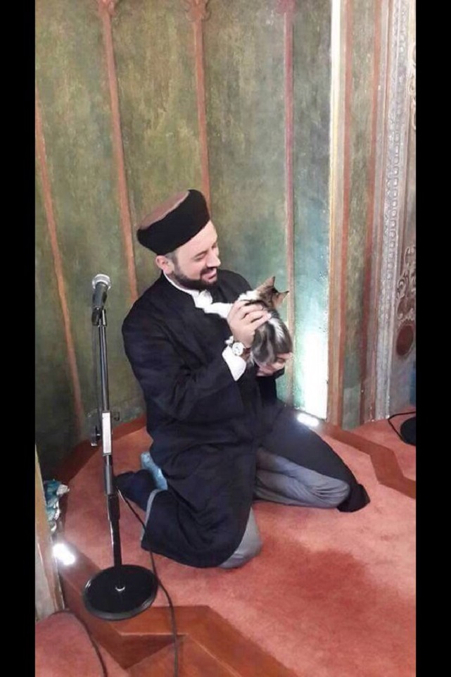 Sokak kedilerine caminin kapılarını açan imam - 2