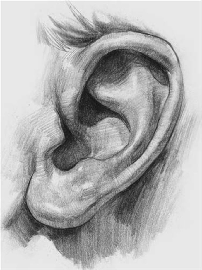 İnsan vücudu hakkında ilginç bilgiler - 11