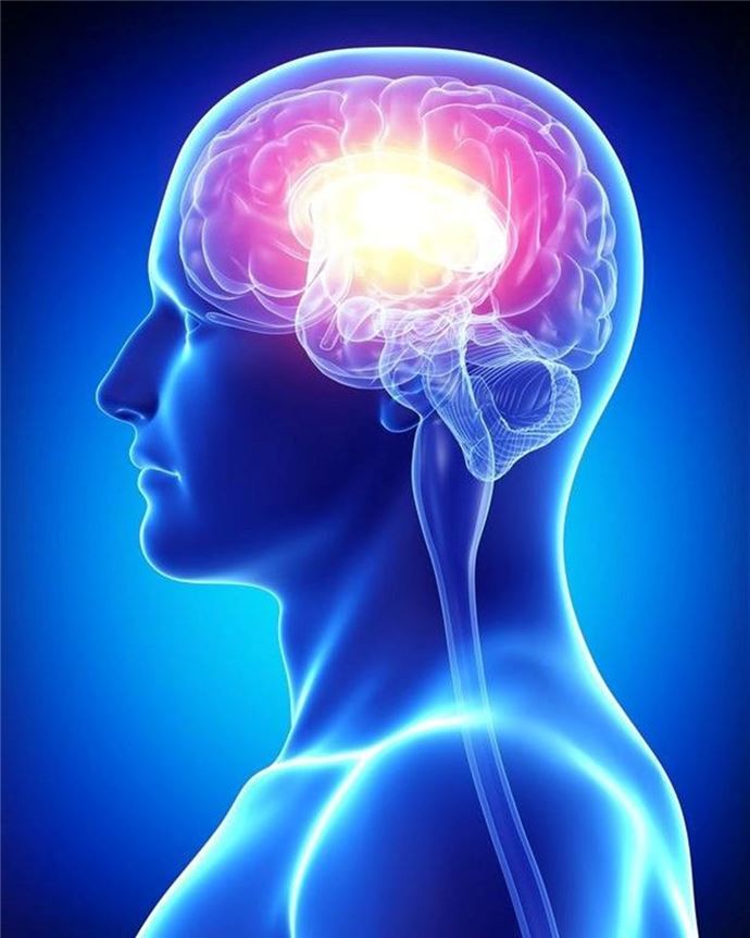 İnsan vücudu hakkında ilginç bilgiler - 9