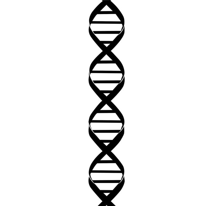 İnsan vücudu hakkında ilginç bilgiler - 12