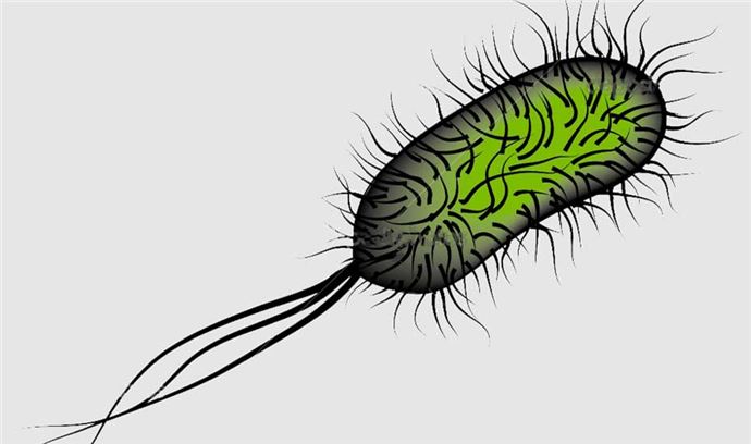 İnsan vücudu hakkında ilginç bilgiler - 2