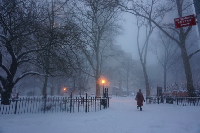 ABD'de kar fırtınası: 19 ölü - 30