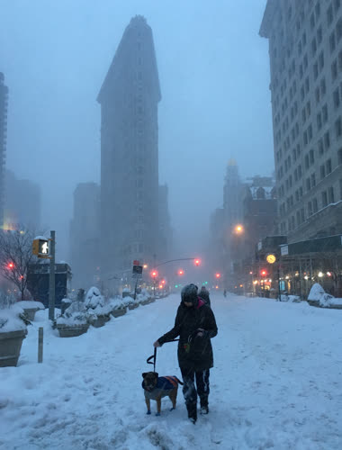 ABD'de kar fırtınası: 19 ölü - 3