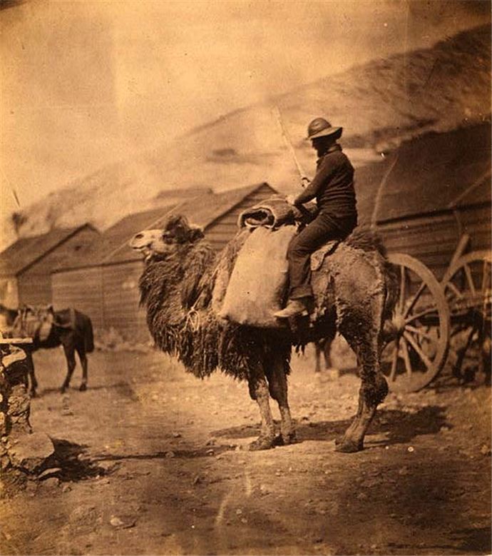 Tarihin ilk savaş fotoğraflarında Osmanlı - 9