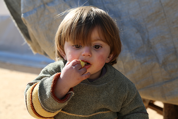 Suriyeliler için 2 bin kişilik çadır kent - 3