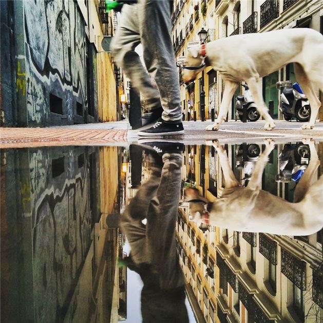 Suya yansıyan muhteşem kareler - 924