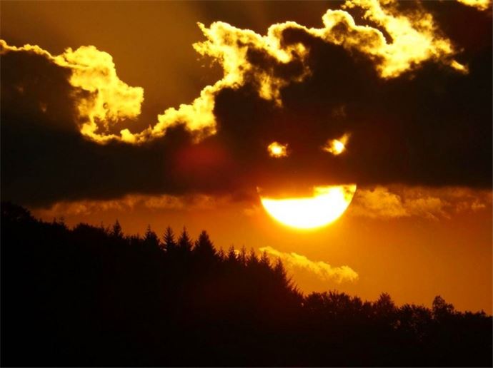 Zamanlaması harika 17 fotoğraf - 13