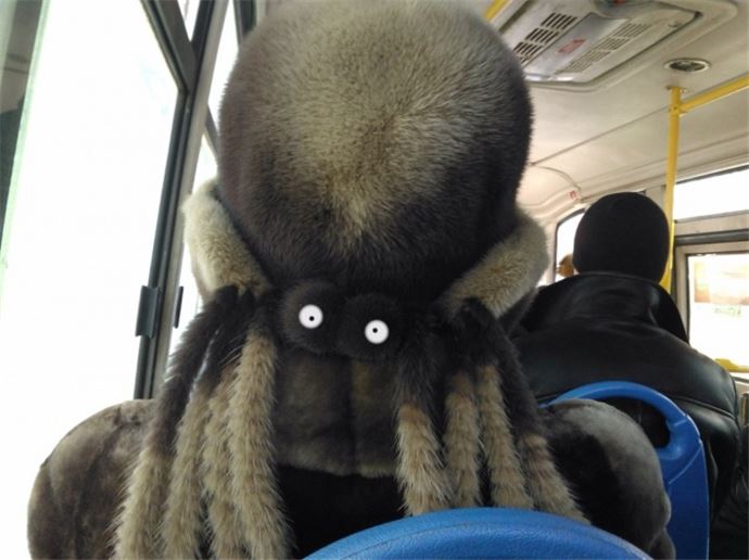 Zamanlaması harika 17 fotoğraf - 16