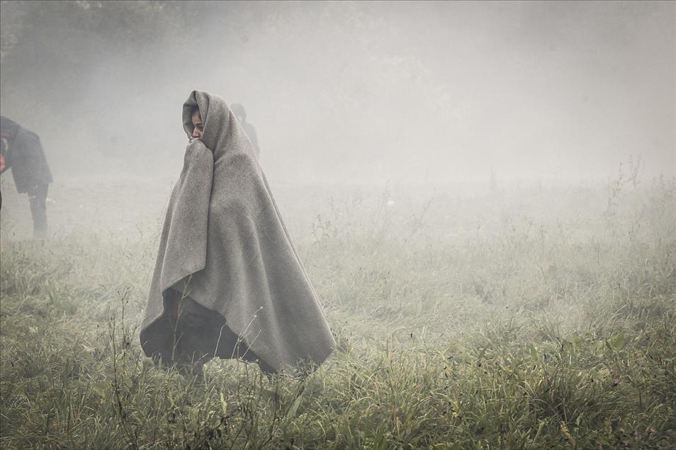 Savaş mağduru kadınlar - 626