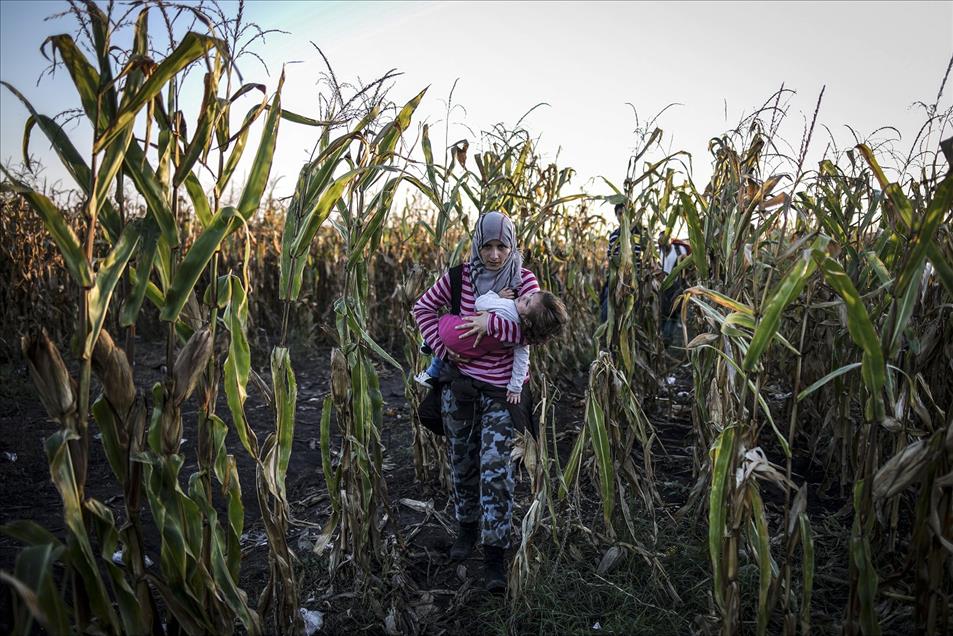 Savaş mağduru kadınlar - 691
