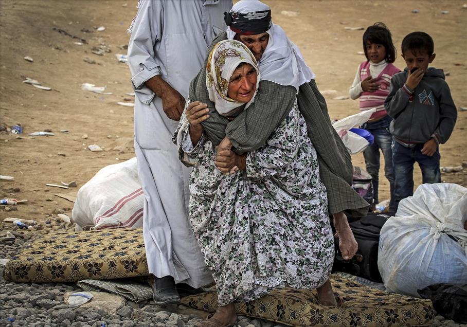 Savaş mağduru kadınlar - 901