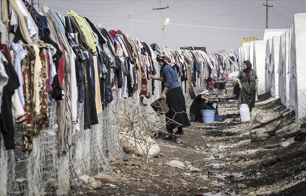 Savaş mağduru kadınlar - 932