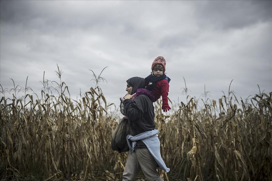 Savaş mağduru kadınlar - 825