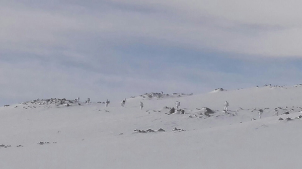Ağrı'da PKK'ya büyük darbe - 9