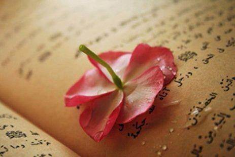 Her Müslüman'ın bilmesi gereken cevaplar - 48